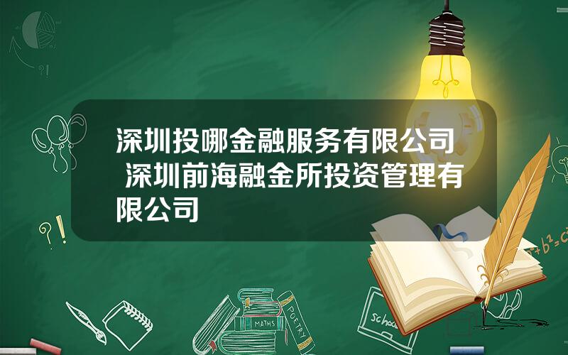 深圳投哪金融服务有限公司 深圳前海融金所投资管理有限公司